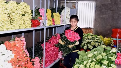 Trước lễ 20-10, hoa Đà Lạt tăng giá mạnh