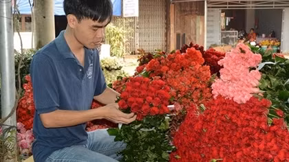 Hoa hồng Đà Lạt mất giá trong lễ Tình nhân