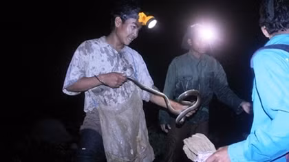 Những chuyến săn đêm tật diệt thú rừng ở Tây Nguyên