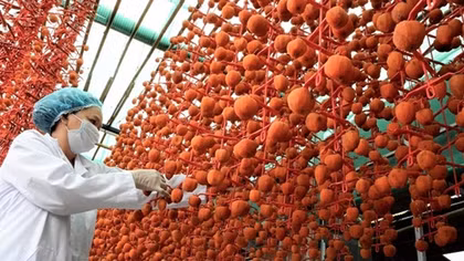 Đà Lạt: Cung cấp mã vạch cho đặc sản để phân biệt với hàng Trung Quốc
