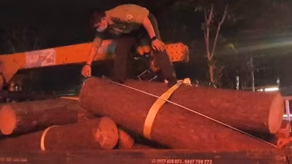 Nhân viên quản lý, bảo vệ rừng "thuê" người khai thác gỗ mang đi bán 