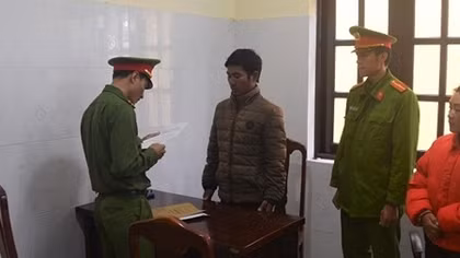 Bắt tạm giam lâm tặc chặt hạ gần 100 cây thông