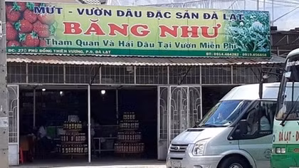  Đòi trả lại “đặc sản Đà Lạt”du khách bị đánh ngất xỉu 