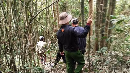 Nam thanh niên mất tích 4 ngày trong rừng sâu
