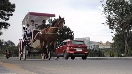 Đà Lạt thiệt hại 26 tỷ đồng do khách hủy phòng