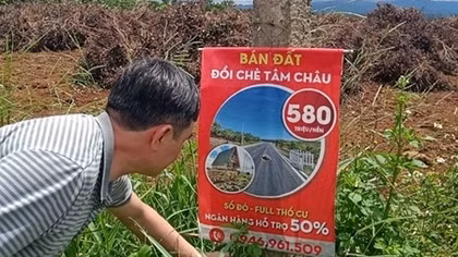 Tạm đình chỉ công tác Trưởng phòng Quản lý đô thị TP Bảo Lộc