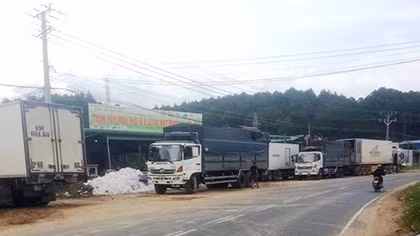 Lật tẩy “trạm hóa trang” hàng Trung Quốc gắn mác rau Đà Lạt