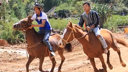 Sôi nổi giải đua ngựa không yên trên xứ Langbiang