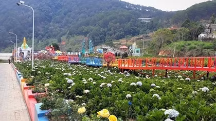 Phó Thủ tướng Thường trực Trương Hòa Bình chỉ đạo làm rõ phản ánh của báo chí