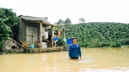  Tạm đình chỉ nhà máy thủy điện Đại Bình sau phản ánh của báo CAND