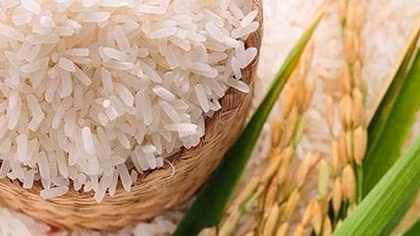 13 sản phẩm nông nghiệp chủ lực quốc gia