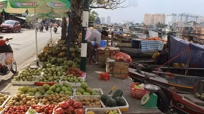 Về đâu "áo trắng thương hồ"