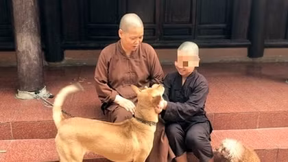 Làm rõ sự thật thông tin cháu bé bị đánh trong chùa