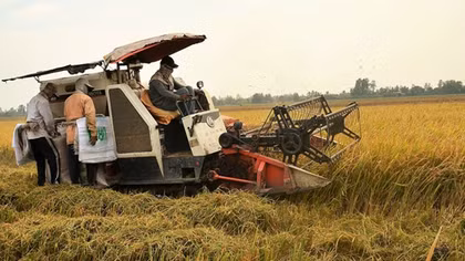 Bứt phá bằng các giải pháp phù hợp, hiệu quả