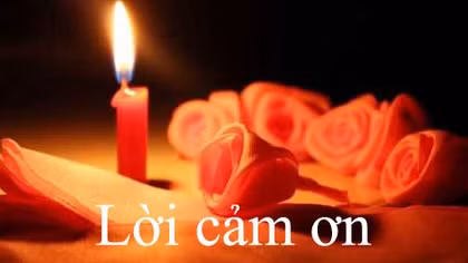 Lời cảm ơn