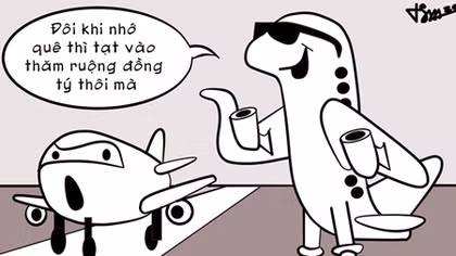 Tàu bay một phen hú vía