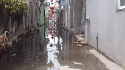 Hàng trăm người dân sống cùng nước cống