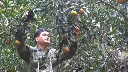 Vượt lên quá khứ lầm lỗi để phát triển kinh tế giỏi