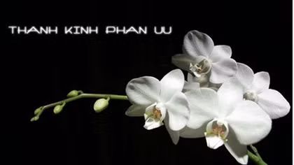 Lời chia buồn