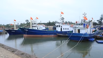 Ngư dân bất an vì tàu thuyền “kẹt cứng” tại cảng cá