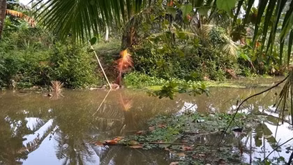 Phát hiện thi thể người đàn ông dưới lòng kênh