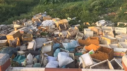 Nhiều dòng kênh đã ô nhiễm, tiếp tục bị “bức tử”