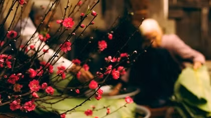 Vẫn nôn nao đợi chờ Tết
