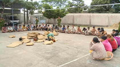 Phá ổ đá gà, tạm giữ 51 đối tượng cũng hơn 200 triệu đồng