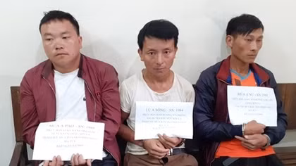 Khám phá vụ vận chuyển 20 bánh heroin