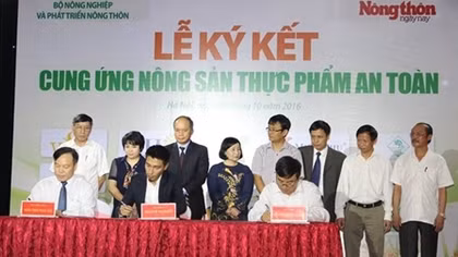 15 tập đoàn, doanh nghiệp lớn ký cam kết cung ứng nông sản an toàn
