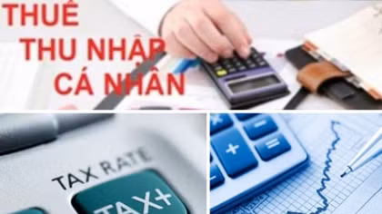 Công khai thông tin đăng ký thuế của người nộp thuế từ 12-8