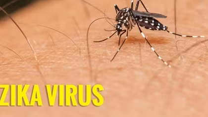 Hai chị em ruột ở Bà Rịa - Vũng Tàu cùng nhiễm virus Zika