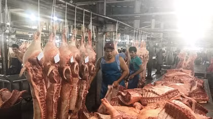 Cần minh bạch chất lượng thịt để người dùng lựa chọn