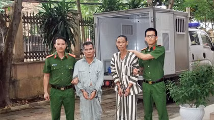 Những cuộc truy lùng “mò kim đáy bể”