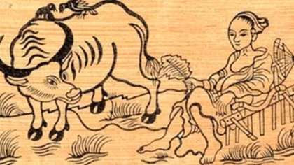 Giật tràng vá vạt