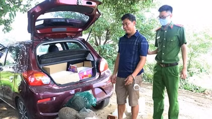 Vận chuyển 6 con Tê Tê trên ô tô