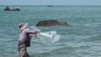 Theo chân ngư phủ "ném" cá đối