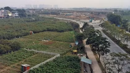 So sánh giá đất lúc trúng đấu giá với giá thị trường khi bán là khập khiễng