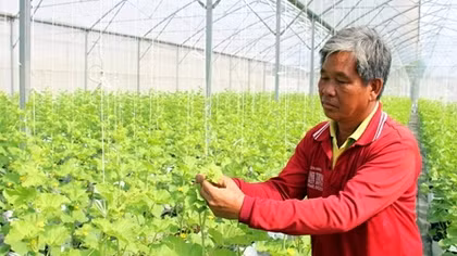 Tập trung phát triển thế mạnh của địa phương