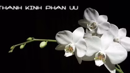 Lời chia buồn