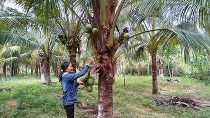 Về nơi 20 năm trước, trận "đại hồng thủy" càn qua