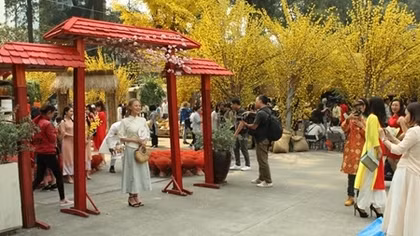 Lan tỏa văn hóa Việt tại Lễ hội Tết Việt