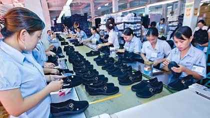 Phải xem xét toàn diện việc nâng tuổi nghỉ hưu
