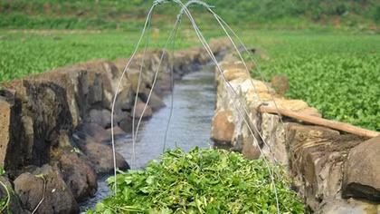 Bí mật giếng cổ Quảng Trị nhiều tầng văn hóa lưng chừng núi
