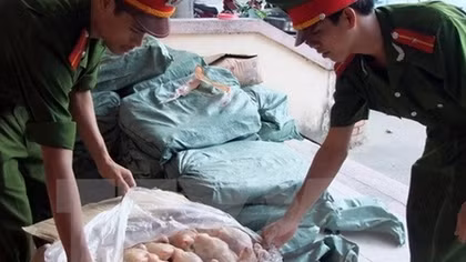 Ôtô khách chở 450kg thịt gà đông lạnh bốc mùi hôi thối