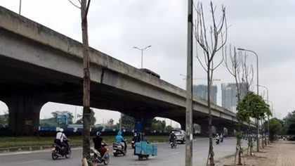 Công ty Cây cảnh Nam Điền sẽ bị “cấm cửa” với các dự án trồng cây xanh của Hà Nội