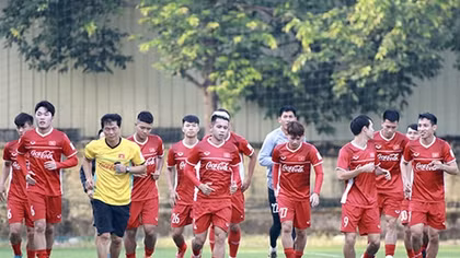 Cần sự chuyên nghiệp từ V.League đến đội tuyển quốc gia