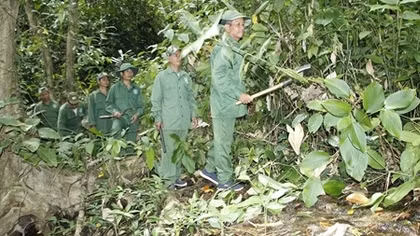 Cộng đồng góp sức, rừng ở Vườn quốc gia Bù Gia Mập được bảo vệ hiệu quả