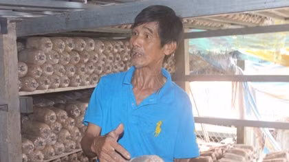 Tỷ phú nhờ trồng nấm bào ngư