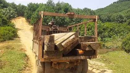 Trục vớt khối lượng lớn gỗ bị dìm dưới sông